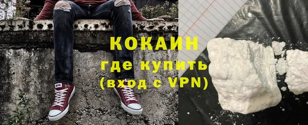 СК Каменногорск