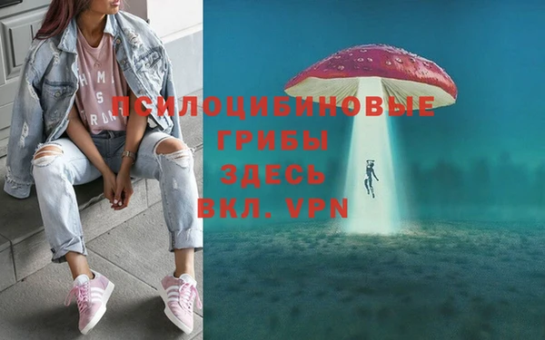 кристаллы Каменка