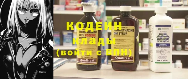 стаф Касимов