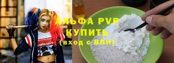 СК Каменногорск