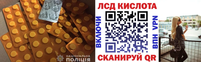 где можно купить наркотик  Кстово  Лсд 25 экстази кислота 