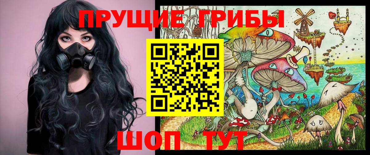 Галлюциногенные грибы Psilocybe Кстово