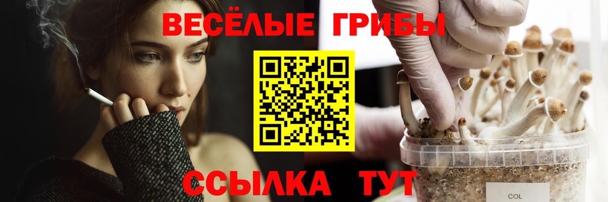 Галлюциногенные грибы GOLDEN TEACHER  Вход с VPN  Галлюциногенные грибы ЛСД  Кстово 